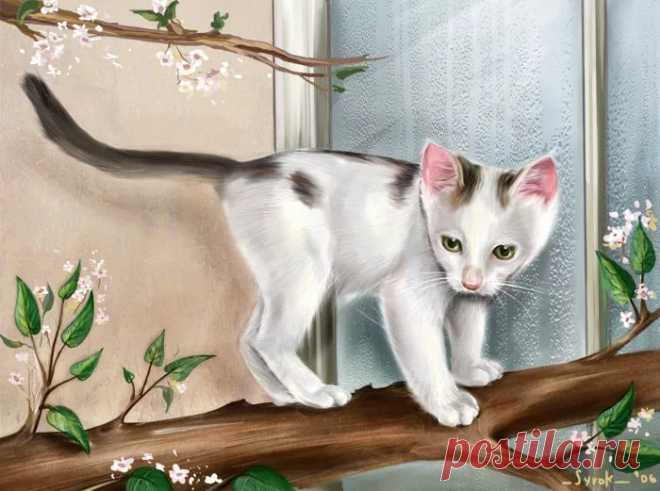 рисунки и картинки кошек и котят: 17 тыс изображений найдено в Яндекс.Картинках