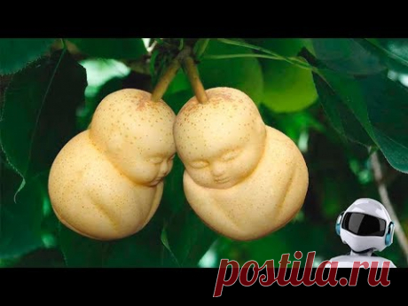 10 САМЫХ ДОРОГИХ ФРУКТОВ В МИРЕ