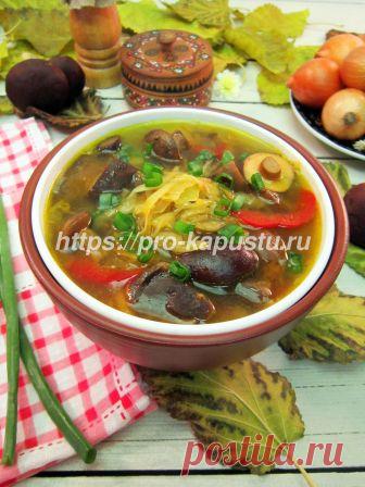 Щи с квашеной капустой и грибами своими руками - рецепт с фото