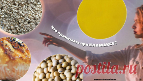 Лечение климакса: 14 приёмов для того чтобы устранить симптомы

Часто женщины начинают гормональную терапию в надежде на устранение неприятных симптомов. Гормоны, конечно, смогут сказать свое слово, но как же быть с побочными эффектами, такие как рак груди или проблемы с печенью?

Важно знать, что менопауза не является простым мгновением, это переходный период, о котором можно с точностью говорить, только если у женщины не было 12 месяцев менструации.