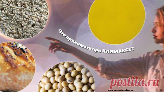 Лечение климакса: 14 приёмов для того чтобы устранить симптомы

Часто женщины начинают гормональную терапию в надежде на устранение неприятных симптомов. Гормоны, конечно, смогут сказать свое слово, но как же быть с побочными эффектами, такие как рак груди или проблемы с печенью?

Важно знать, что менопауза не является простым мгновением, это переходный период, о котором можно с точностью говорить, только если у женщины не было 12 месяцев менструации.