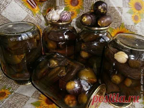 Баклажаны консервированные по-быстрому.
