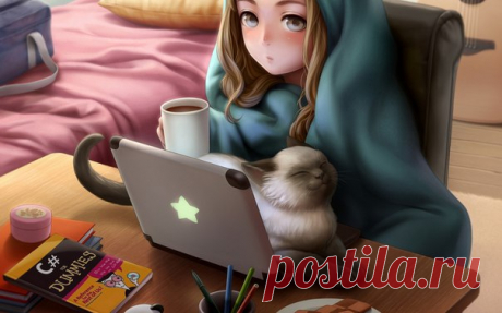 Новости