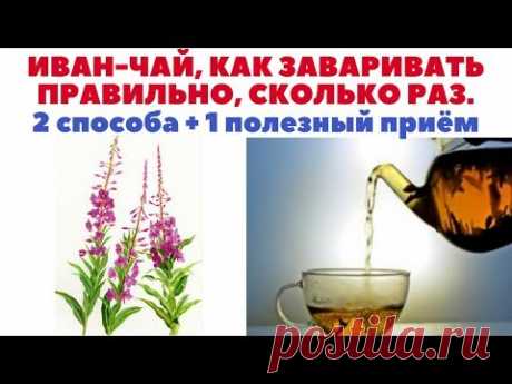 Иван-чай - как заваривать правильно. Сколько раз заваривать. 2 разных способа, заварки + 1 лайфхак.