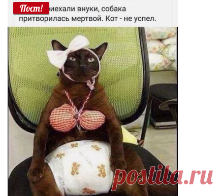 2 непрочитанных чата