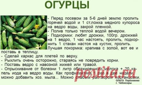 ✔ ПОЛЕЗНЫЕ СОВЕТЫ :
✪ Сохраните чтобы не потерять.