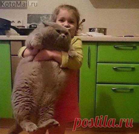 Отнеси меня скорей к холодильнику!