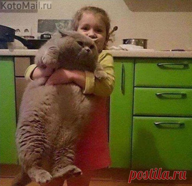 Отнеси меня скорей к холодильнику!