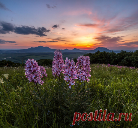 Федя Лашков. :: Ясенец, или Неопалимая купина. :: Природный пейзаж :: Галерея :: Клуб Foto.ru