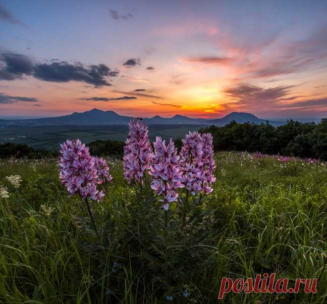 Федя Лашков. :: Ясенец, или Неопалимая купина. :: Природный пейзаж :: Галерея :: Клуб Foto.ru
