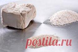 Виды дрожжей,использование,закладка,выбор