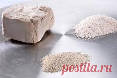 Виды дрожжей,использование,закладка,выбор