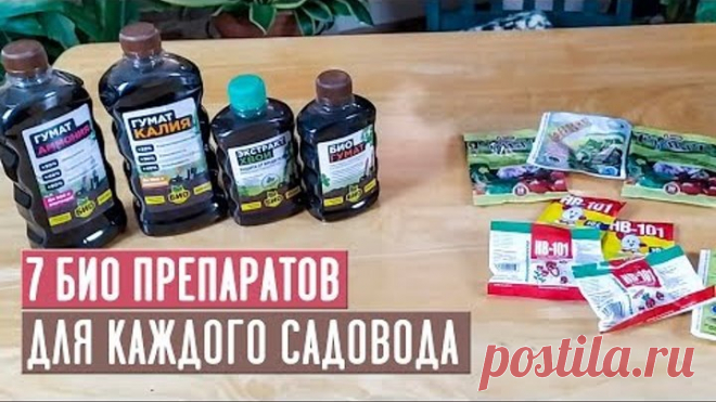 | OK.RU