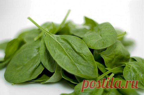Шпинат – один из самых полезных продуктов в мире среди всех существующих, его врачи рекомендуют кушать всем, кто хочет продлить молодость и укрепить здоровье. Но если в сезон урожая этой зелени никакой трудности регулярное потребление шпината не представляет, то что делать в остальные времена года? О том, как заготовить шпинат на зиму, читайте в этой статье.