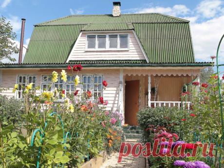 «Дача-кляча»: россияне все больше предпочитают загородную жизнь | МК | Дзен