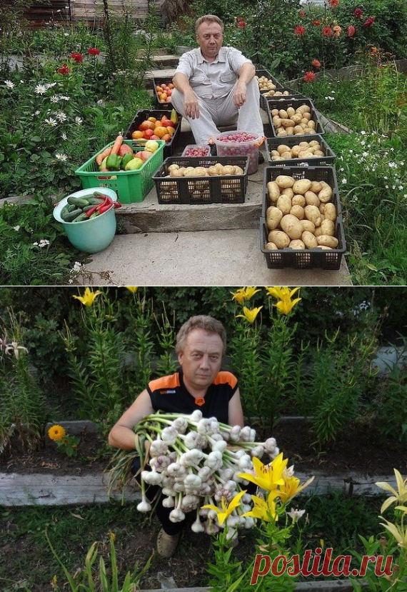 5 видов подкормок от Игоря Лядова