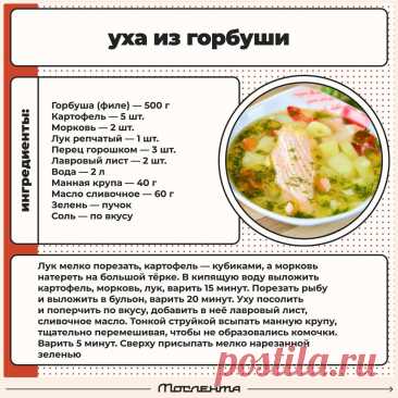 Уха из горбуши