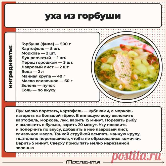 Уха из горбуши