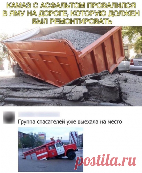 Облегчаю понедельник весёлыми картинками😁 | Альтер'Эго | Яндекс Дзен
