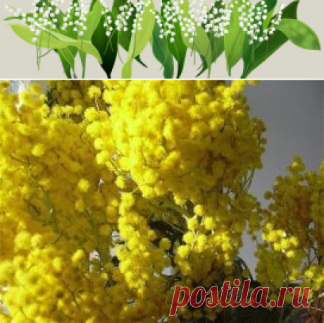 (1) Одноклассники