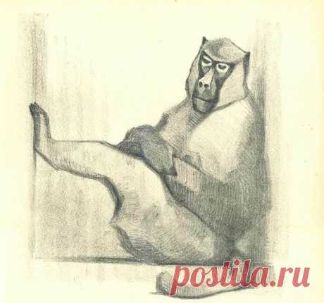 Василий Алексеевич Ватагин | МАСТЕРА КНИЖНОЙ И ЖУРНАЛЬНОЙ ГРАФИКИ