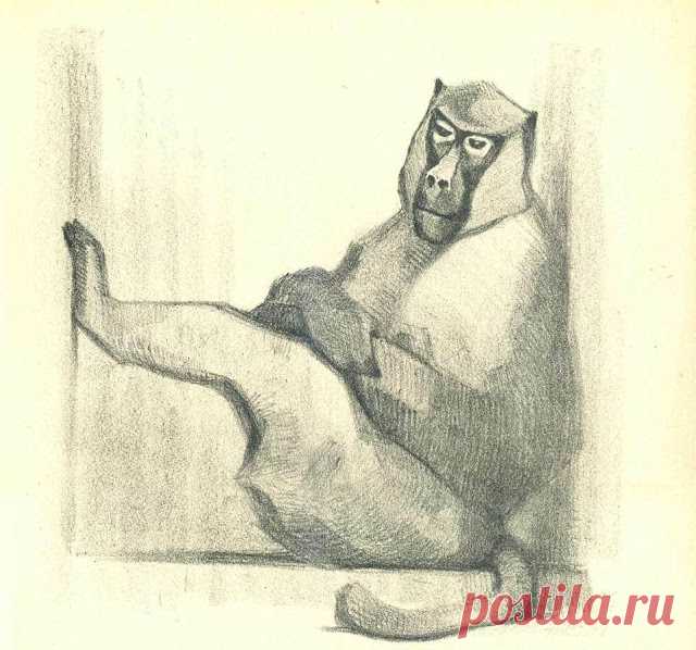 Василий Алексеевич Ватагин | МАСТЕРА КНИЖНОЙ И ЖУРНАЛЬНОЙ ГРАФИКИ