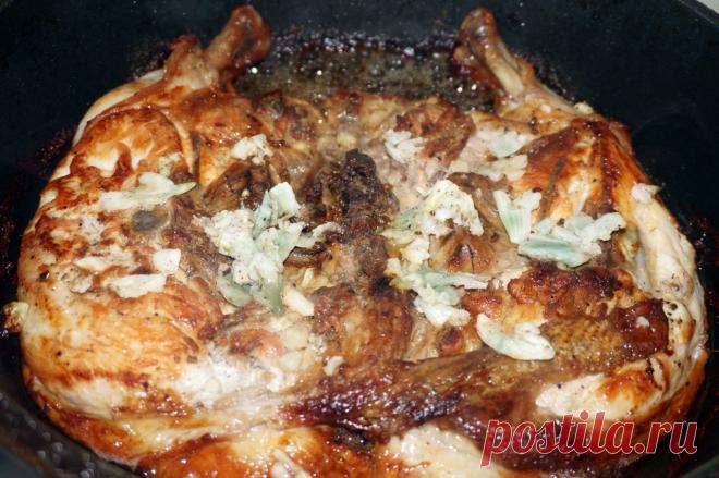 ЦЫПЛЕНОК-ТАБАКА