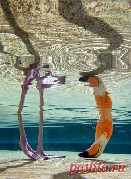 Perspective is everything... by Paige Klee / Os Quatro Elementos