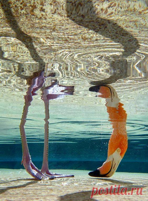 Perspective is everything... by Paige Klee / Os Quatro Elementos