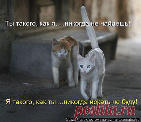 Светлана — «Женская неприступность...» на Яндекс.Фотках