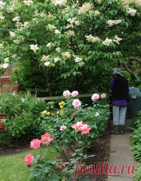 Fence It | Garden Walk Garden Talk