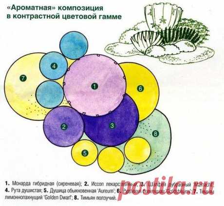 как правильно спланировать клумбу - Поиск в Google