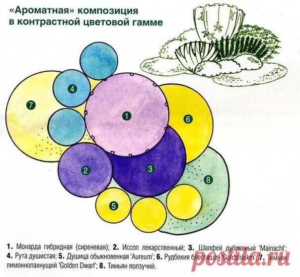 как правильно спланировать клумбу - Поиск в Google