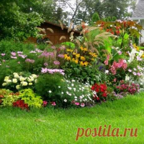 Заботы цветовода в сентябре
