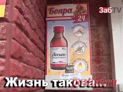 Проблема. Круглосуточные автоматы продажи «Боярышника» появились в Чите – ЗабТВ - 7 Октября 2016 - Russia-Asia-Siberia