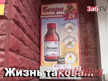 Проблема. Круглосуточные автоматы продажи «Боярышника» появились в Чите – ЗабТВ - 7 Октября 2016 - Russia-Asia-Siberia