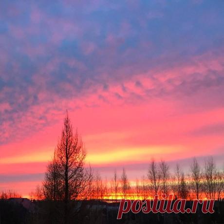 (1) Facebook