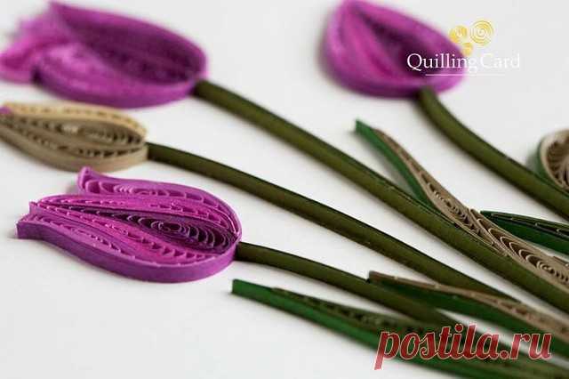 Тюльпаны в технике квиллинг