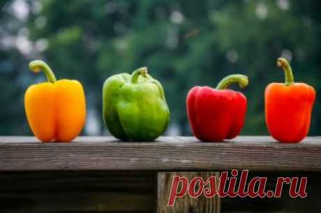 Рядом с чем лучше не сажать перец? | 6 соток