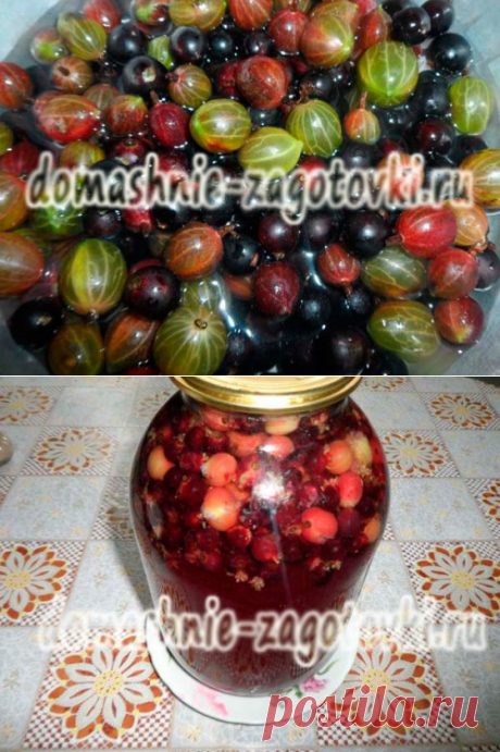 Компот из крыжовника и черной смородины, рецепт на зиму | Домашние заготовки