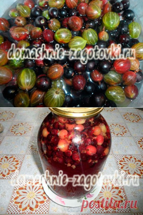 Компот из крыжовника и черной смородины, рецепт на зиму | Домашние заготовки