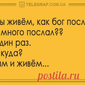 Порция анекдотов для воскресного настроения - МирТесен