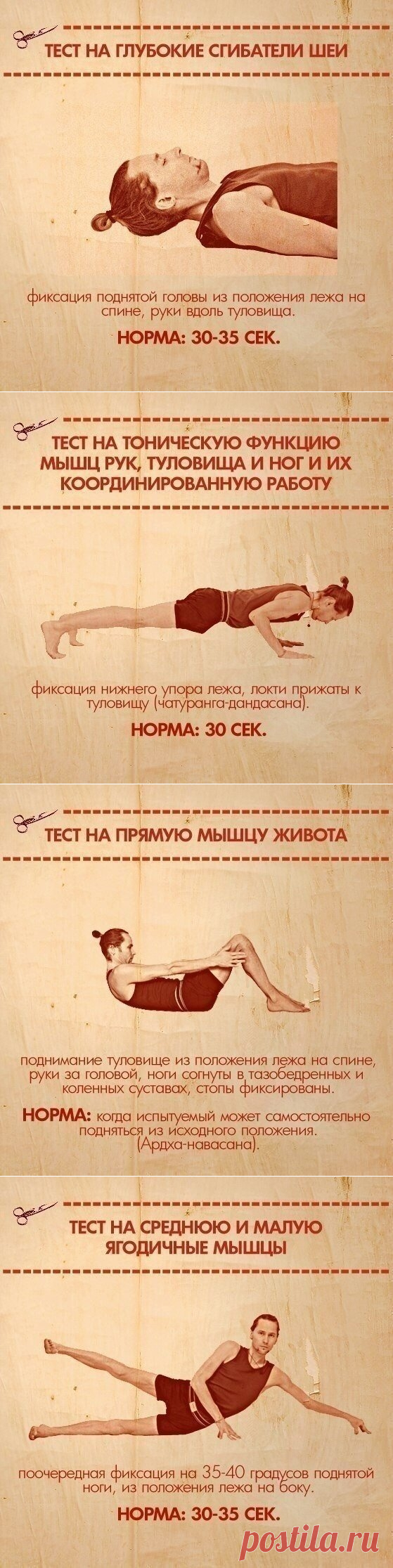 Тесты на функциональную слабость мышц