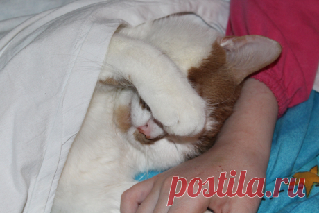 Ну хватит уже снимать я устал!