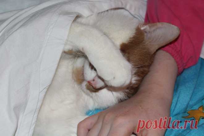 Ну хватит уже снимать я устал!