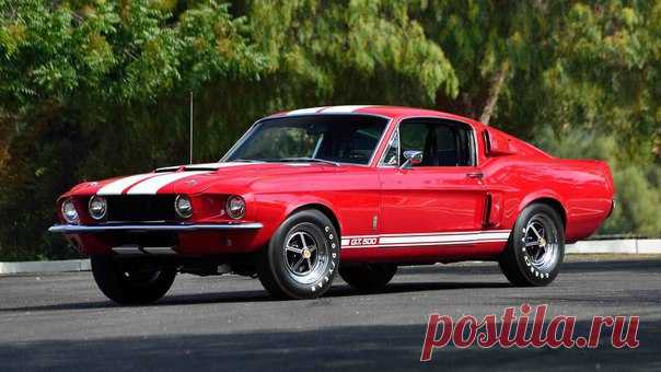 1967 Shelby GT500 / Только машины