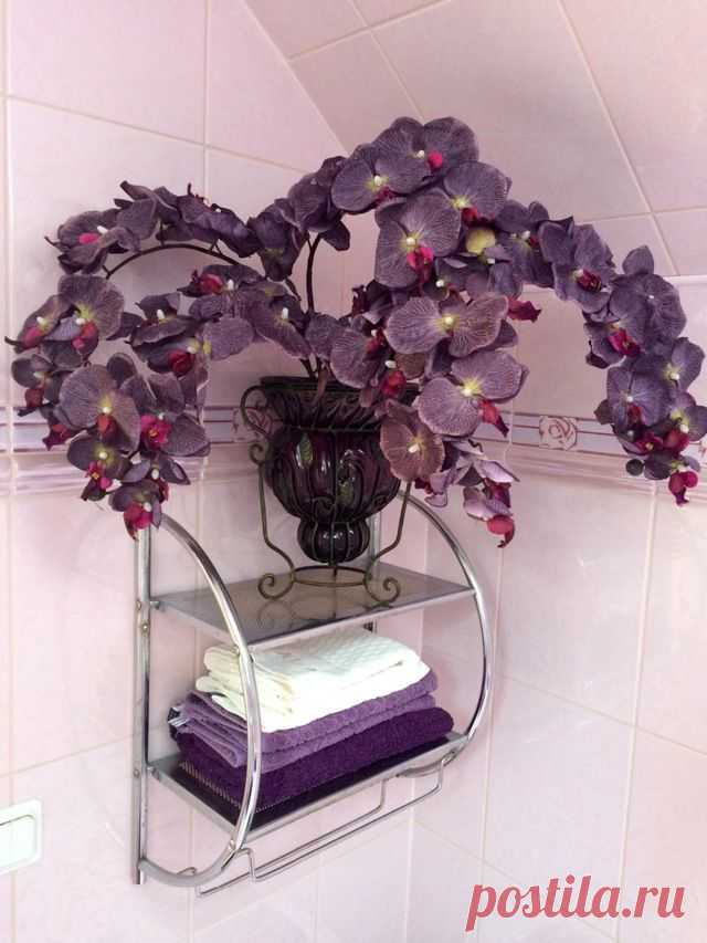 Популярные вещи - iTao