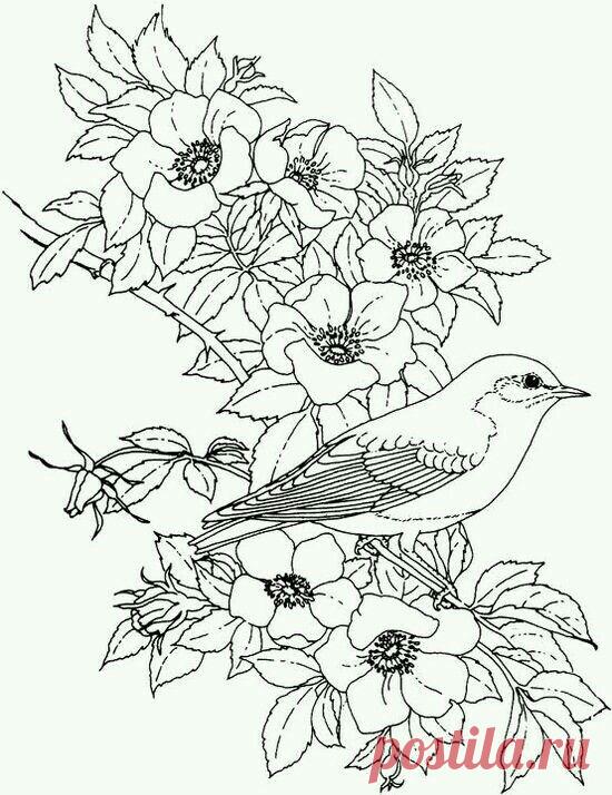 (373) State Bird | bordado