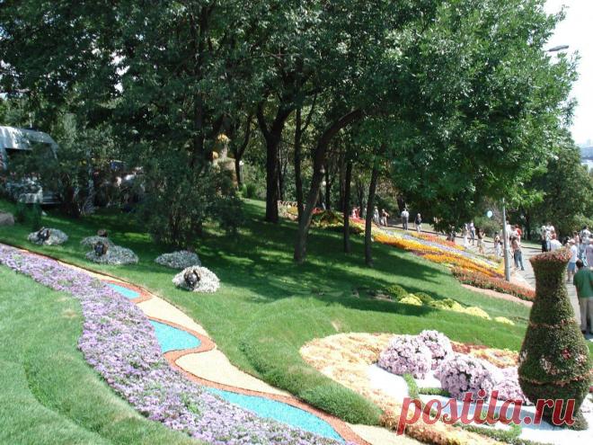 Клуб любителей дачи