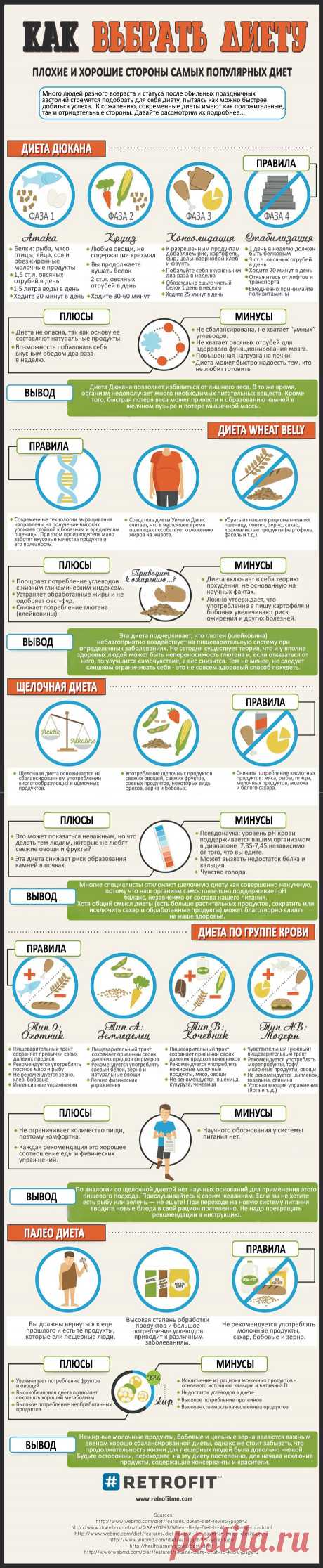 ИНФОГРАФИКА: Плюсы и минусы популярных диет - Лайфхакер
